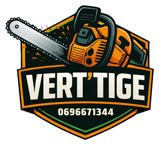 Vert'Tige 972 Logo