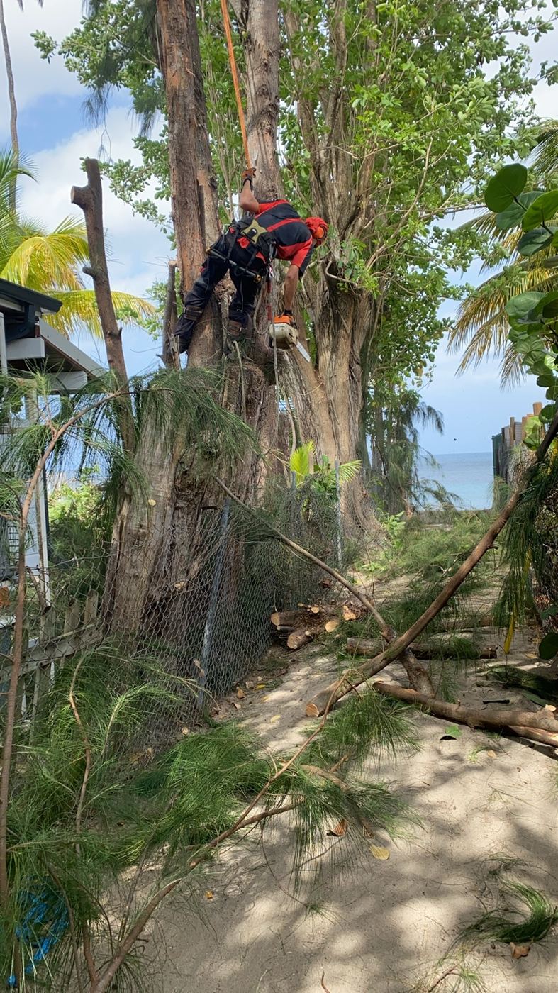 Démontage bord de mer
