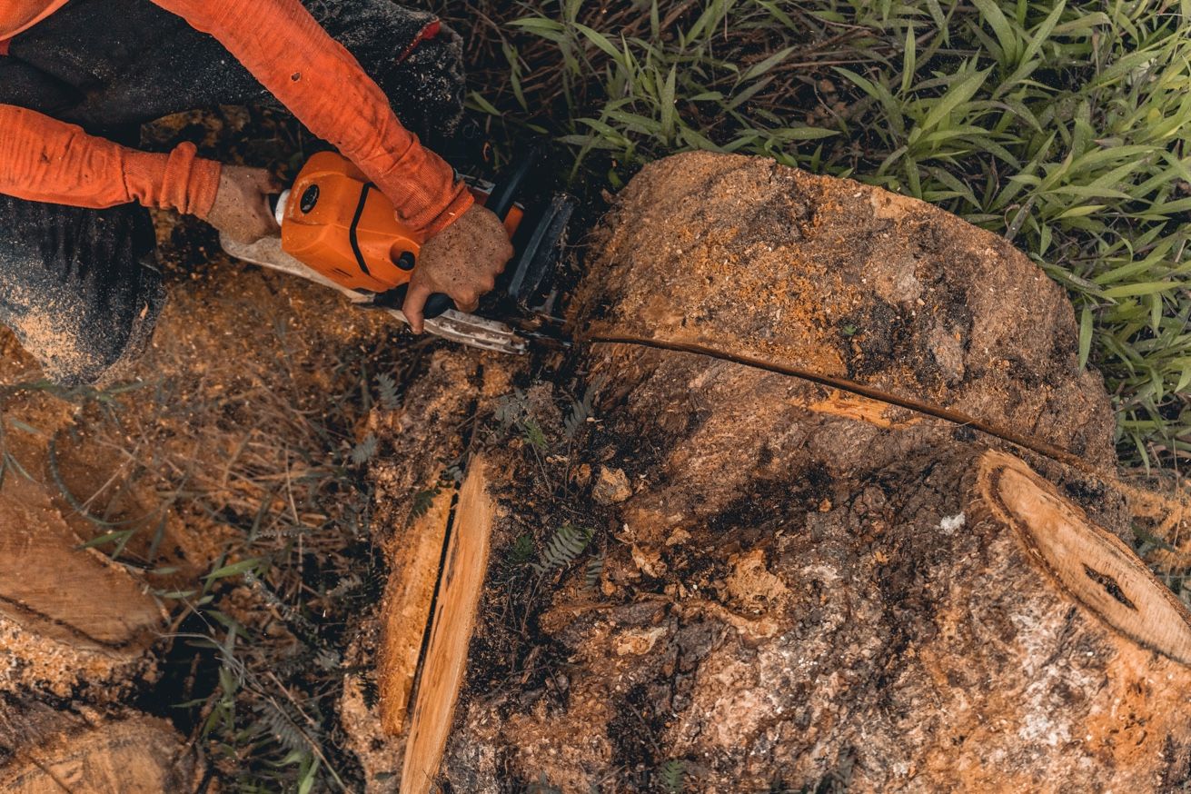 Vue plongeante abattage