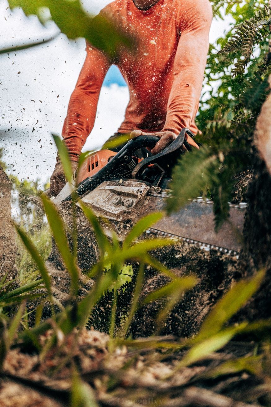 Action tronçonneuse