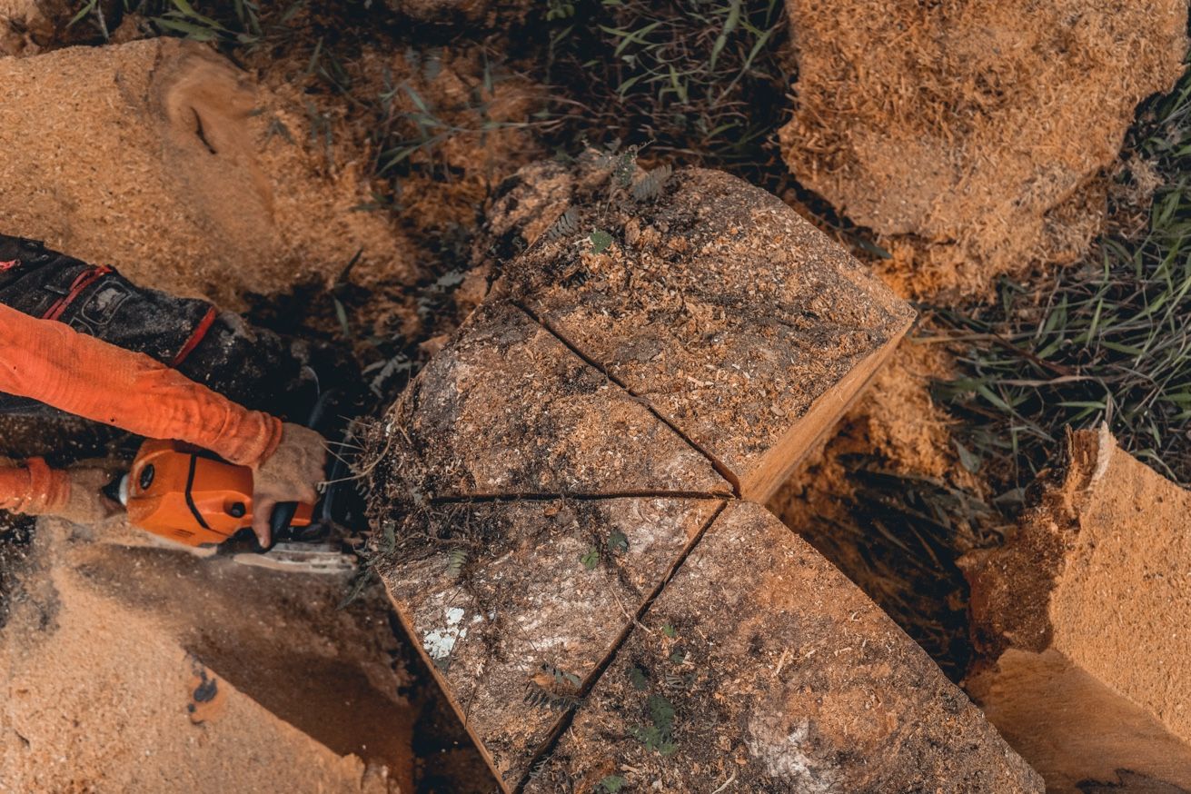 Découpe précise bois