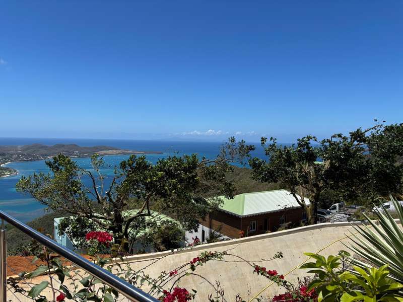 Élagage — vue panoramique baie de Martinique