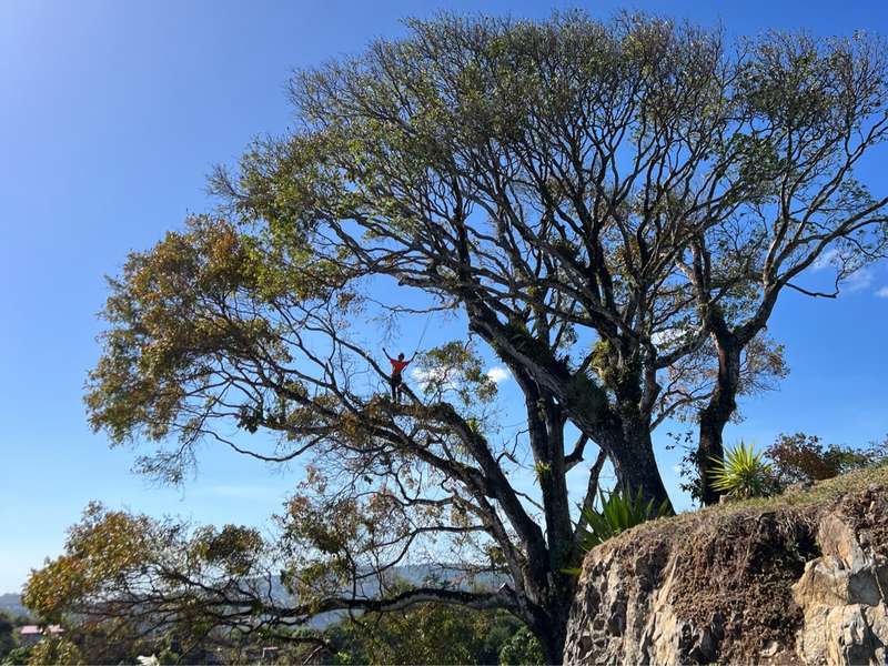 Grimpeur bras ouverts en hauteur — Vert'Tige 972